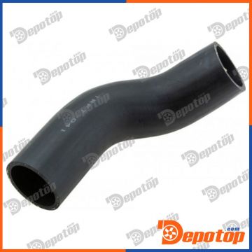 Gaine de suralimentation pour FIAT | GPP-FT-041, 09-0498